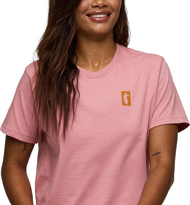Actual product image Cotopaxi Gear For Good Stripes (L)