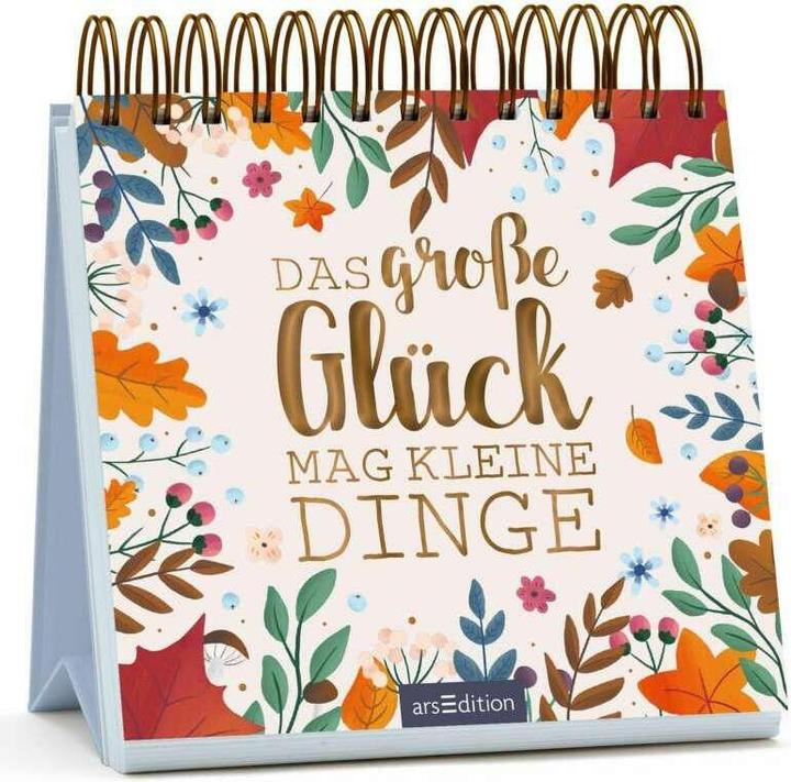 Produktbild Das grosse Glück mag kleine Dinge (Deutsch, Lena Bellermann, 2020)