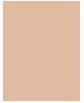 Produktbild L'Oréal Paris True Match (2.r/2.c)
