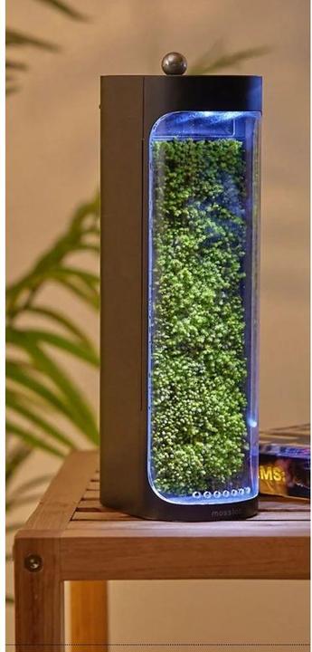 Produktbild Mosslab Air Humidifier Moss