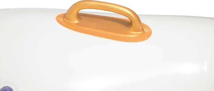 Actual product image Bestway Luxury Pegasus 231x150cm