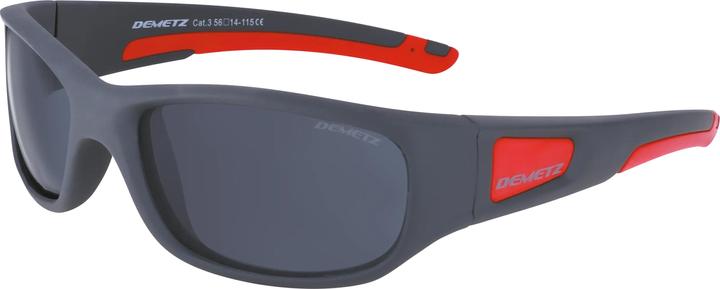 Actual product image Demetz Liken, grey polarised (3)