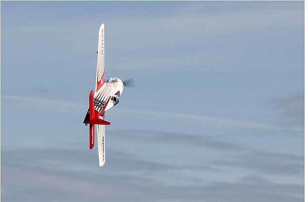 Image du produit Multiplex Race Wulf (Oiseau de guerre)