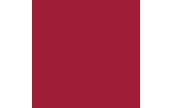 Produktbild Amsterdam Acrylfarbe Standard Series 318 (Karmin, 120 ml)