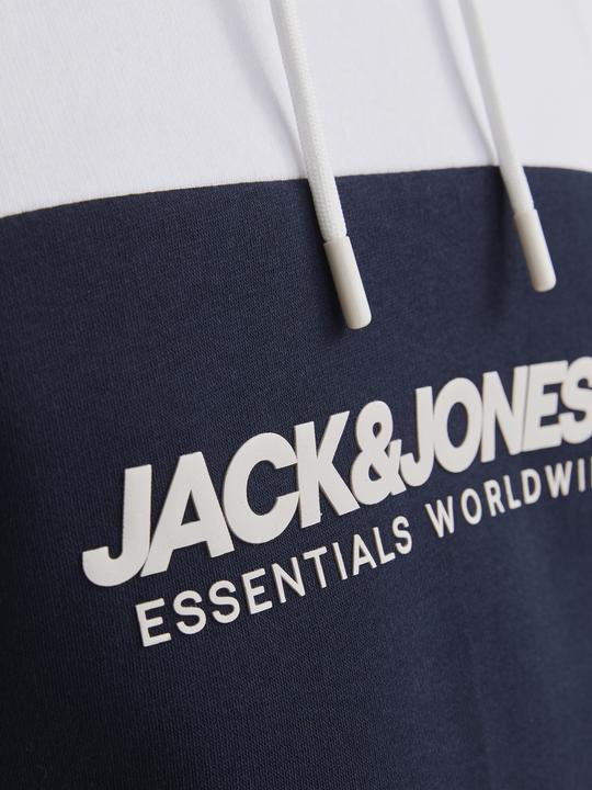 Actual product image Jack & Jones Jjelegacy Blocking Sweat Hood Noos (XS)