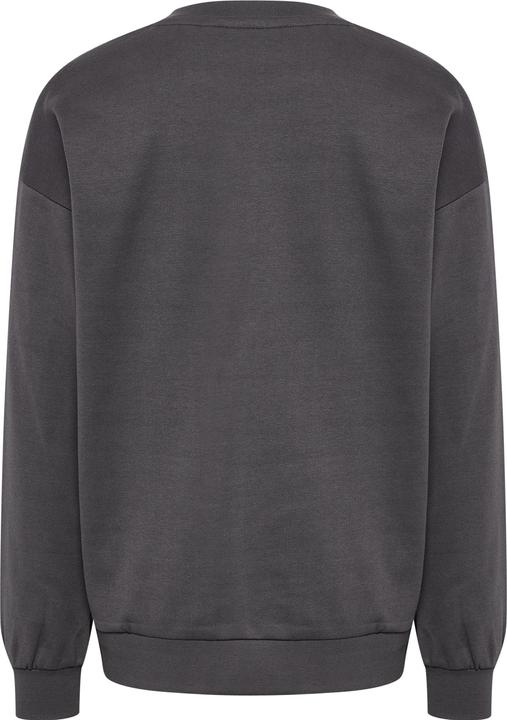 Image du produit hummel hmlALLTON SWEATSHIRT (152)
