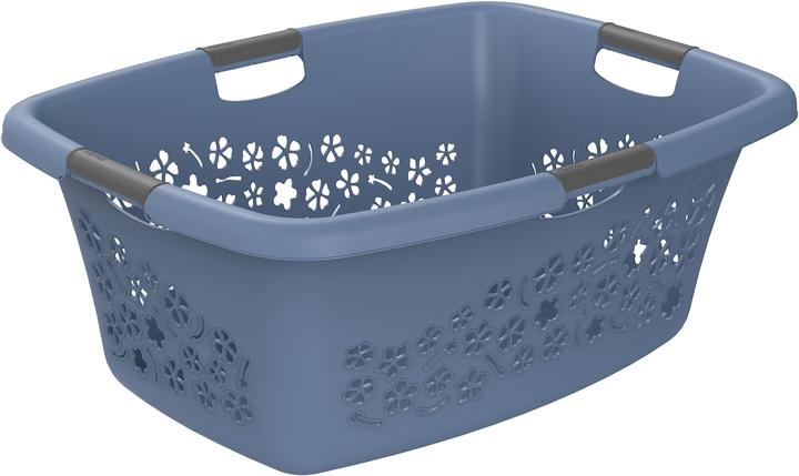 Immagine prodotto Rotho Fiori (50 l)