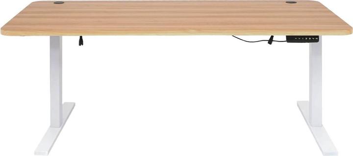 Immagine prodotto Swisshandel24 Scrivania (160 x 80 x 121 cm)