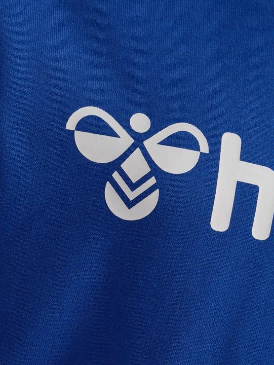 Image du produit hummel Hmlgo 2.0 Logo Hoodie Kids (164)