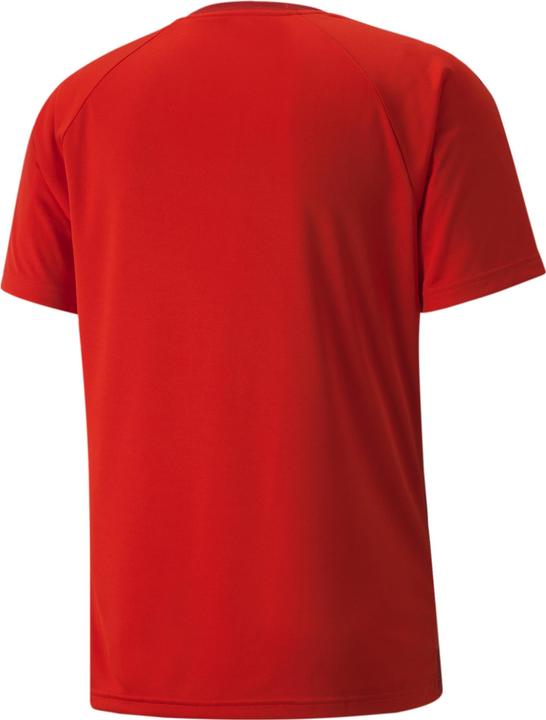 Actual product image Puma teamVISION Jersey-704921 (M)