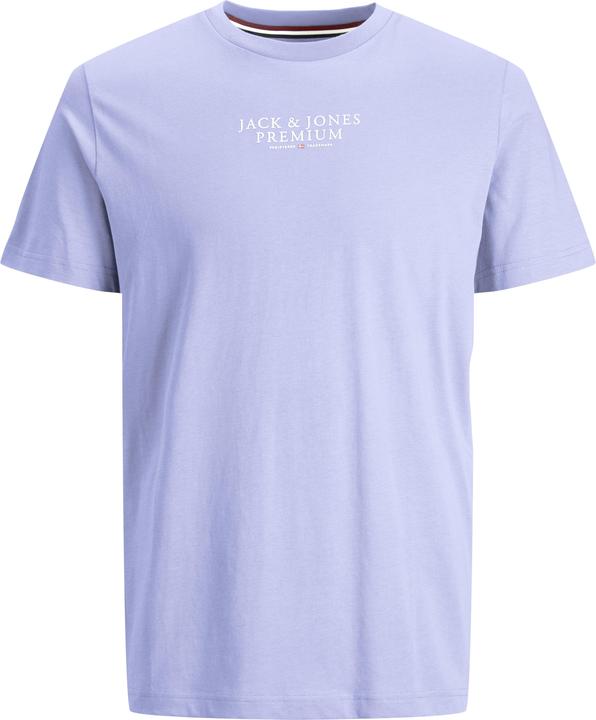 Actual product image Jack & Jones Jprbluarchie Ss Tee Crew Neck Noos (M)