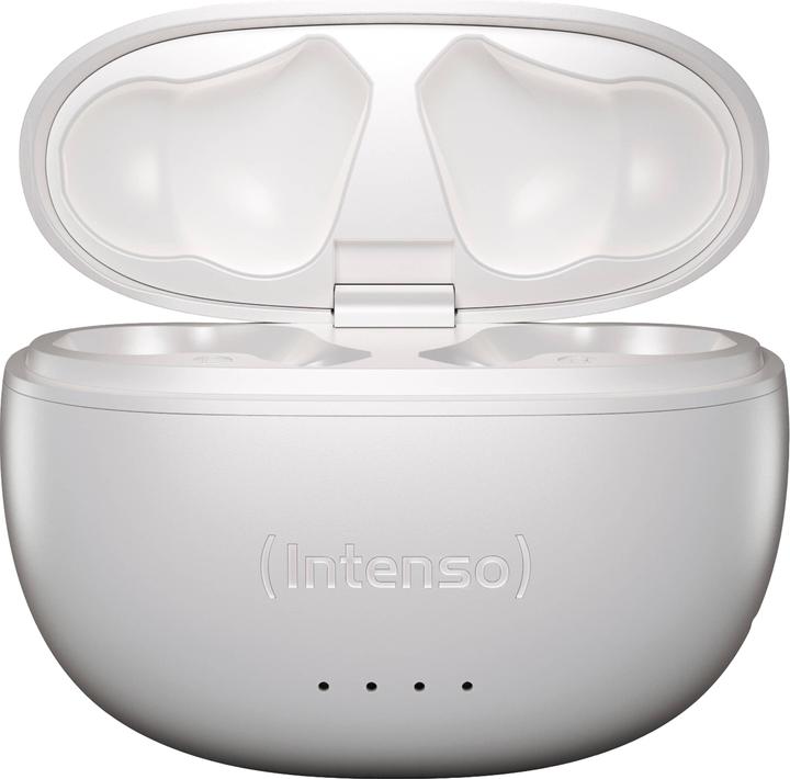 Image du produit Intenso Bourgeons blancs T302A (ANC, 2 h, Filaire)