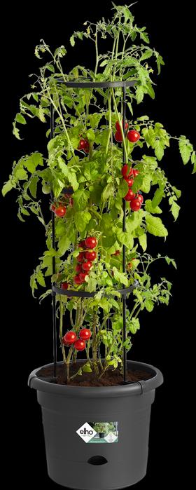 Actual product image Elho Green Basics Tomato Pots (33.50 cm)