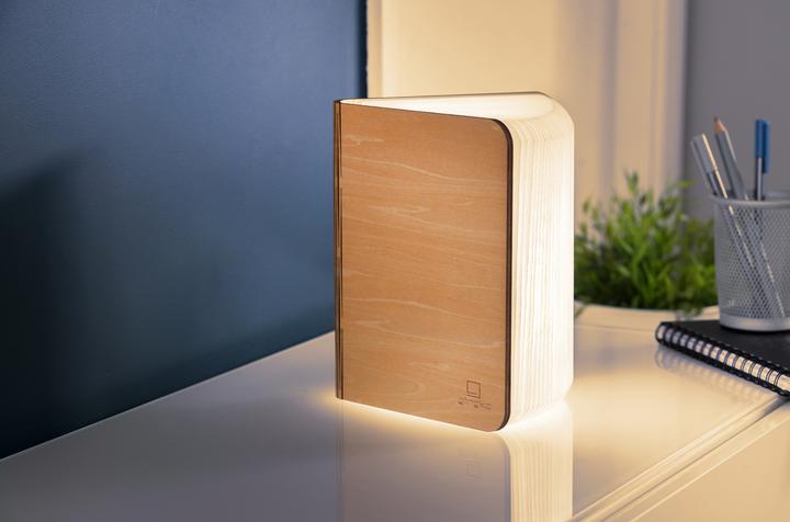 Actual product image Gingko smart book