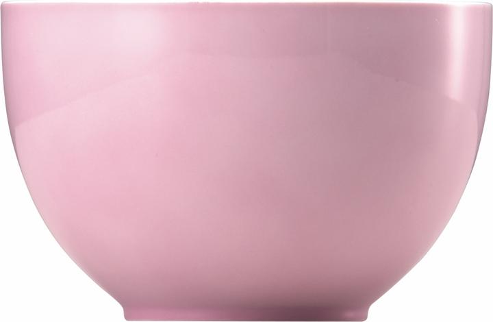 Actual product image Thomas 10850-408533-15456 (12.20 cm, 0.45 l, 1 x)