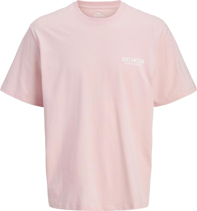 Produktbild Jack & Jones Jorbotaniq Tee Ss Crew Neck Tg Ln (M)