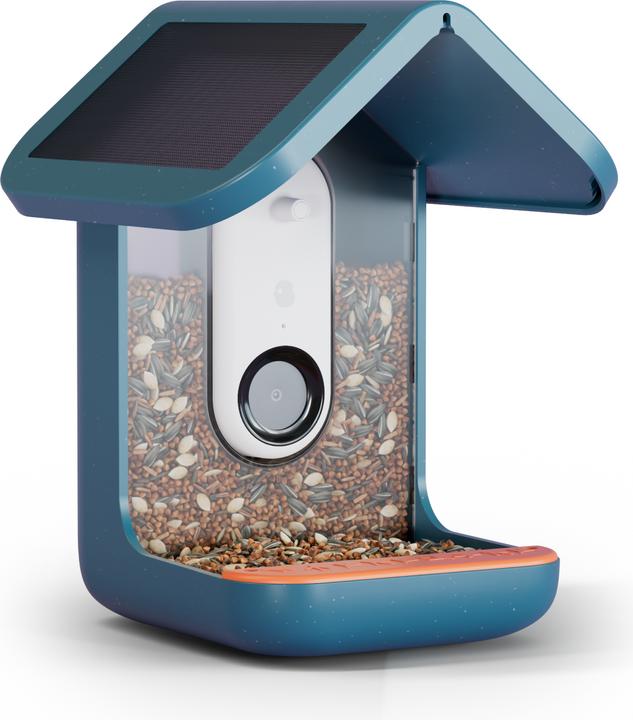 Immagine prodotto Bird Buddy Distributore di cibo