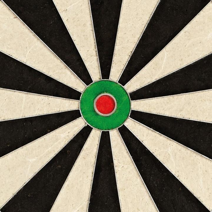 Produktbild Unicorn Eclipse Pro2 Bristle Board