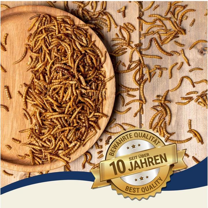 Produktbild Lyra Pet Mehlwürmer getrocknet (10 kg, 1 x)