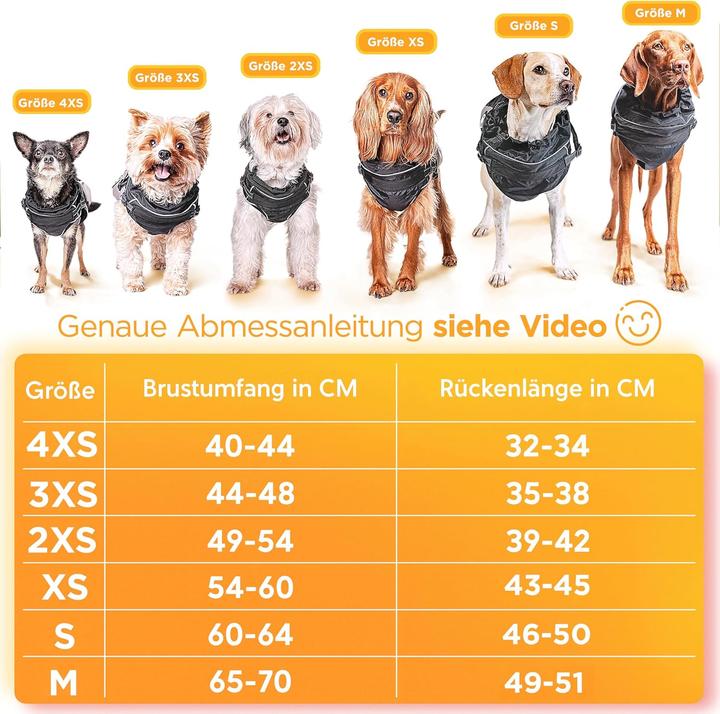 Actual product image Tierhood Regenmantel für Hunde (XXS, Dog raincoat)