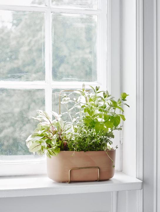 Produktbild Skagerak Herb Carrier (12 cm)