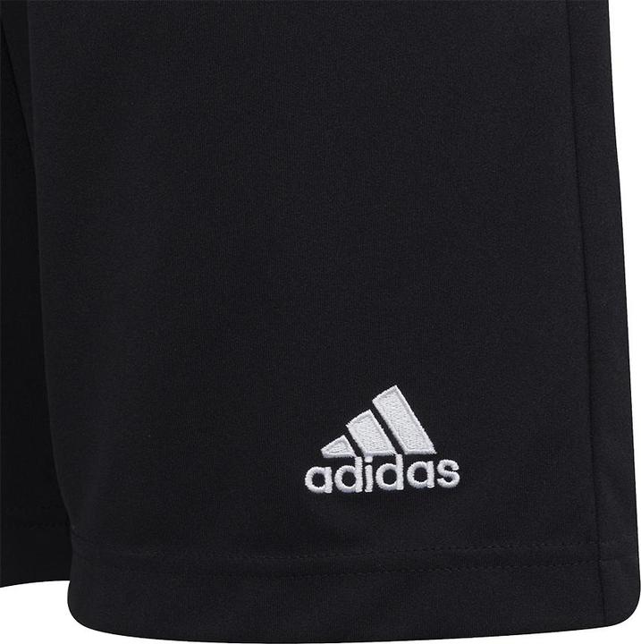 Actual product image adidas Entrada 22 training shorts kids (164)