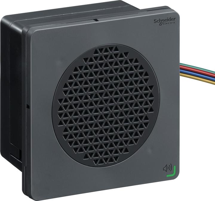 Image du produit Schneider Electric Alarme à voix noire, DIN96, PNP, 24Vdc
