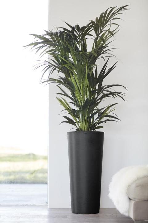 Produktbild Ecopots Amsterdam (32 cm)