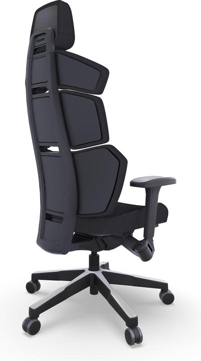 Actual product image RECARO Nxt