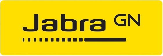 Produktbild Jabra Evolve 65 USB-Kabel