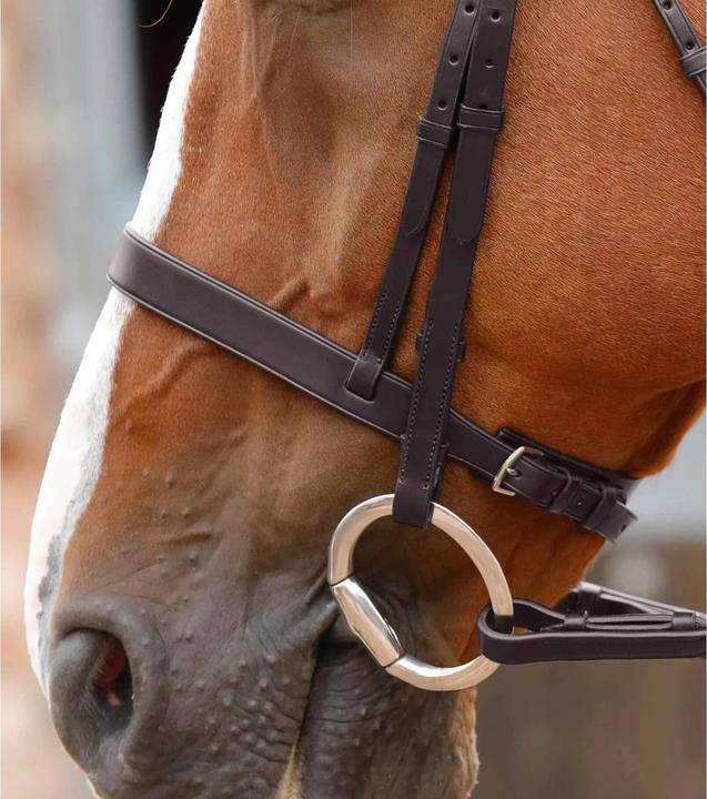 Actual product image Premier Equine Olive bit small barrels