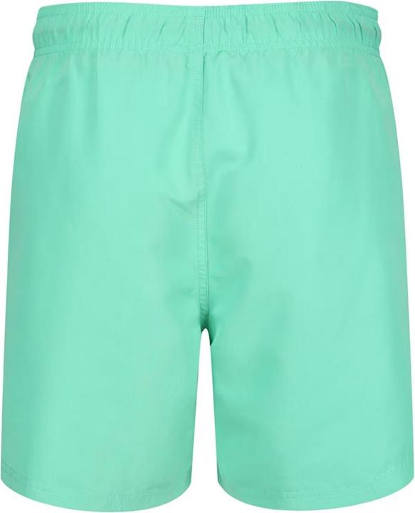 Actual product image Ript Essentials Mens Swim Shorts (XXL)
