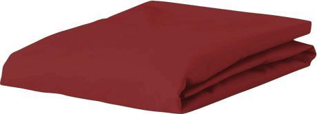 Produktbild Esprit Uni Jersey (140-160 x 200 cm)