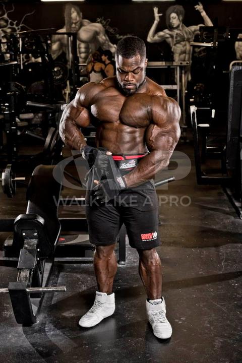 Actual product image Schiek Lifting Gloves Model 540 Platinum Series BLACK (S)
