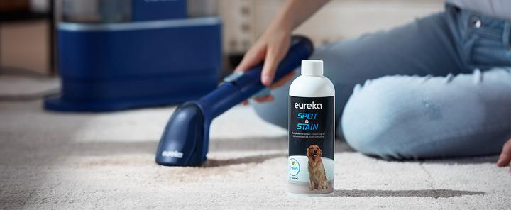 Image du produit Eureka NEY 100