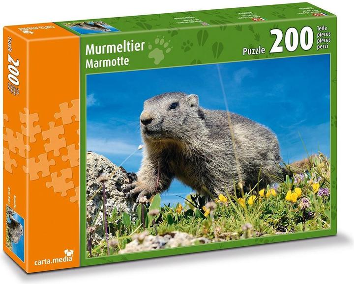 Murmeltier auf Alpwiese (200 Teile)