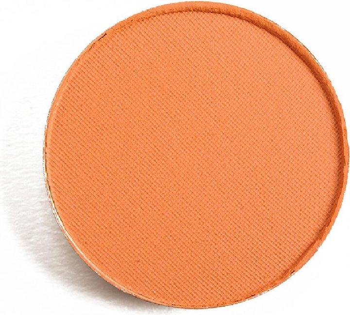 Actual product image MAC Cosmetics Eye Shadow / Pro Palette Refill Pan (Rule)