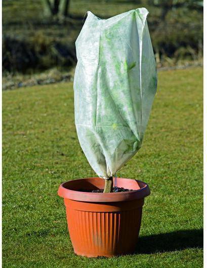 Stocker Garden Protex gewasbeschermingshoes met band 1,2 x 1,6 m - pak van 2 stuks