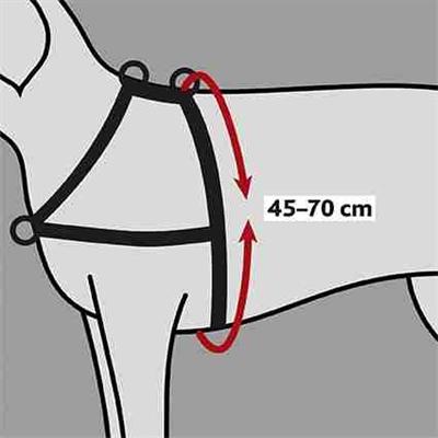 Produktbild Trixie Lead n Walk Ausbildungsgeschirr S-M (S, M, Hund, Allgemein)