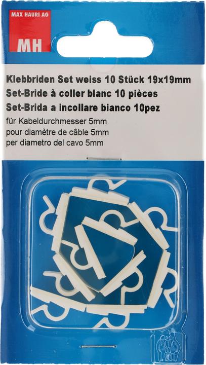 Energy Label Max Hauri Adhesive bridges