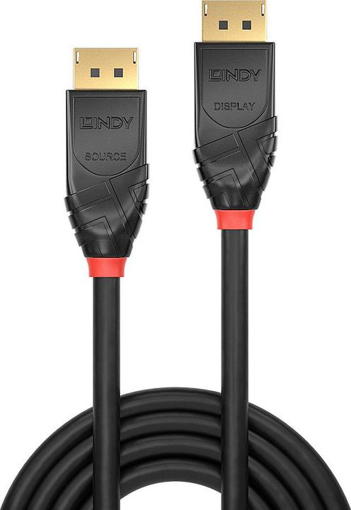Actual product image Lindy DisplayPort — DisplayPort (100 m, DisplayPort)