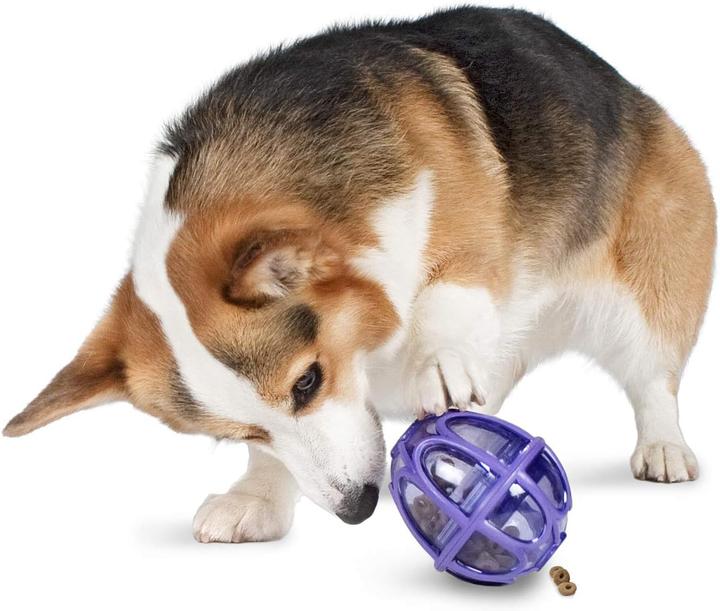 Image du produit PetSafe Kibble Nibble Jouet à friandises pour chiens