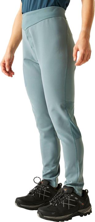 Produktbild Dare2b Torrek Leggings Wandern (40)