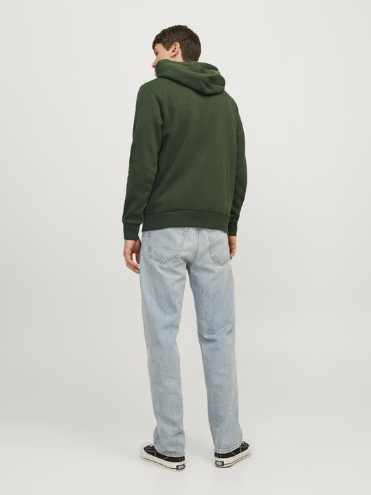 Actual product image Jack & Jones JJELOGO SWEAT HOOD 2 COL 24/25 NOOS (XS)