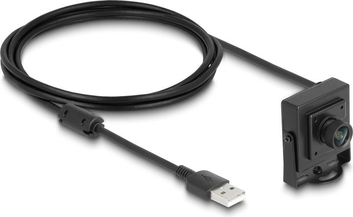 Image du produit Delock Caméra USB 2.0 2,1 mégapixels 100° à focale fixe (2.10 Mpx)