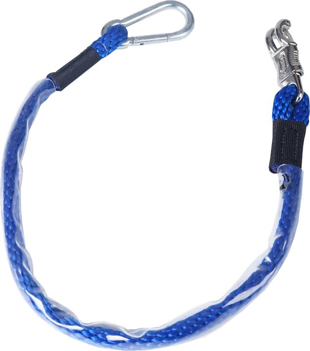 Bleu royal