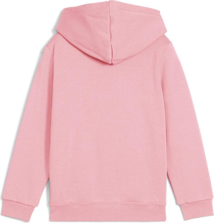 Produktbild Puma ESS No. 1 Logo Hoodie FL PS (104)