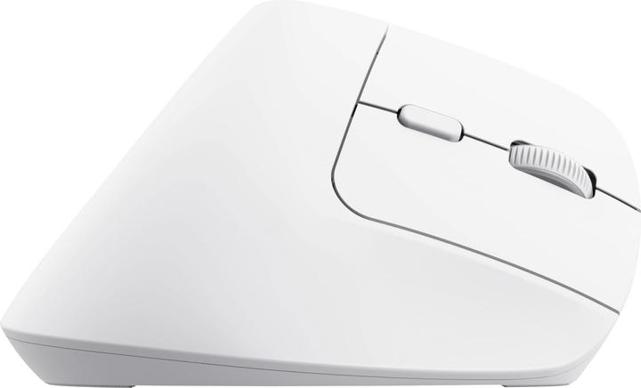 Actual product image Trust Bayo+ Ergonomic Wireless (Wireless)