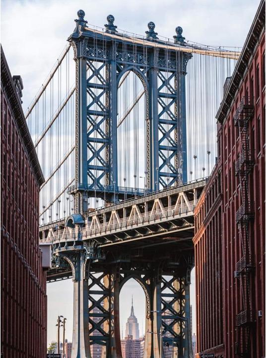 Image du produit Trenddeko Colombo - Pont de Brooklyn (240 x 350 cm)