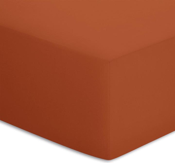 Immagine prodotto Bassetti Jersey-Elasthan Spannbetttuch (90-100 x 190-220 cm)